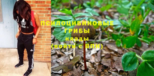 бошки Михайлов